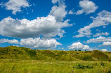 Yaz manzarası, nehir taşkınları, pitoresk kıyılar, kır çiçekli parlak yeşil çimenler, beyaz bulutlu mavi gökyüzü, ılık yaz günleri.,