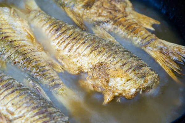 Ryby Gotowe Jedzenia Tłuste Ryby Również Szczególnie Bogate Długołańcuchowe Kwasy — Zdjęcie stockowe