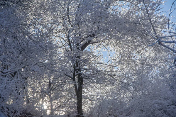 Горы Зима Ничего Романтичнее Смотреть Красивые Горы Красивые Зимние Пейзажи — стоковое фото