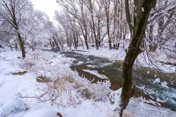 Floden Fryser Till Vintern Riktig Vintersaga När Denna Underbara Flod — Stockfoto