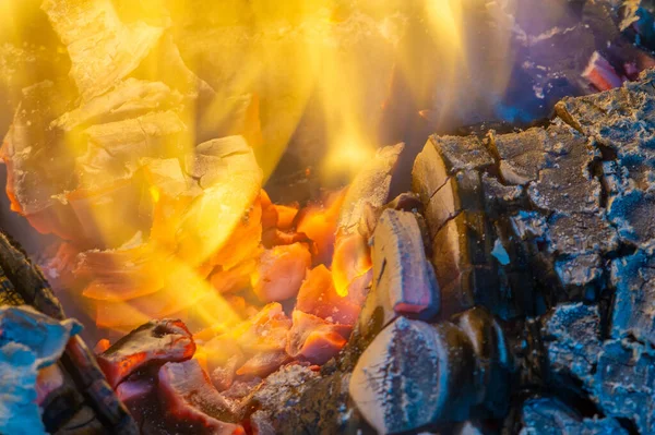 在壁炉里生火奶酪和葡萄酒是一种经典的搭配 同时打开炽热的壁炉 你会有一个美妙舒适的夜晚 充满了生活中美好的事物 — 图库照片