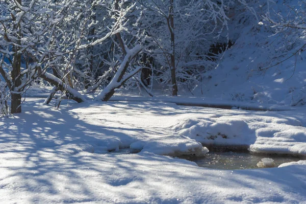 Річка Замерзає Взимку Взимку Річка Перетворюється Справжню Країну Чудес Якщо — стокове фото