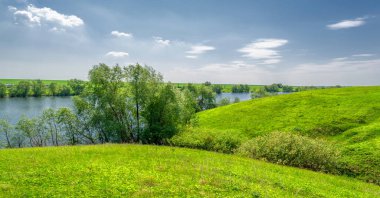 Bahar fotoğrafı, söğüt ağacı, parlak yeşillik, bulutlu mavi gökyüzü, harika bahar havası.