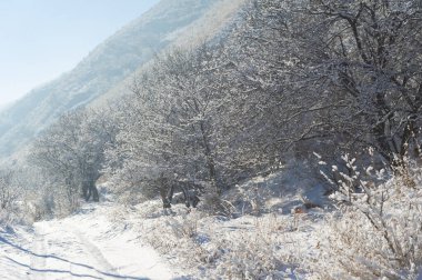 Dağlar. Kış. Kış yürüyüşlerindeki güzel manzarayı tanı. Işıl ışıl buzla kaplı nehirlerden karlı dağlara ve uygun yollara.