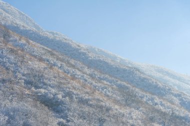 Dağlar. Kış geliyor ve yağan karla birlikte, bir birliktelik hissi çöküyor, bu kış harikalar diyarı romantik bir kaçış için mükemmel bir yer ve zaman..