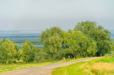 Yaz manzarası, yerel yol, Ağustos sonu. Dünyanın Avrupalı parçası