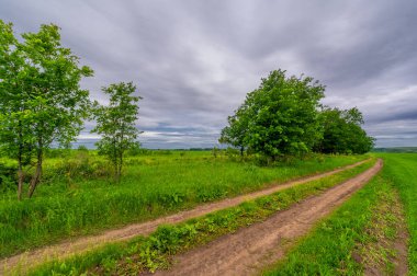 İlkbahar fotoğrafçılığı, kırsal alan, genç buğday tarlalarının arasından geçen toprak yol, bir yerden diğerine uzanan geniş bir yol, özellikle araçların kullanabileceği özel hazırlanmış bir yüzeye sahip olan bir yol.