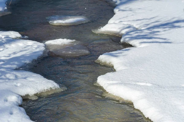 Río Congela Invierno Río Favorito Invierno Silencio Bosque Era Mágico —  Fotos de Stock