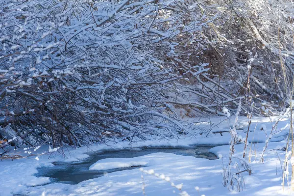 Rivier Bevriest Winter Winter Zet Aan Het Denken Als Zon — Stockfoto