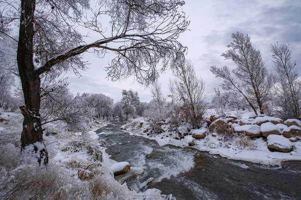 River Freezes Winter Favorite Winter River Silence Forest Magical Broken — Stock Photo, Image