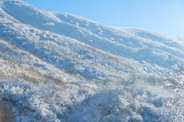 Dağlar Kış Yaygara Yok Teslim Tarihi Yok Sadece Huzur Rahatlama — Stok fotoğraf