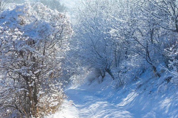 私は少し偏っているかもしれませんが 冬には山よりもロマンチックな場所はないと思います 雪に包まれ これらはあなたが楽しむための壮大なピークです — ストック写真