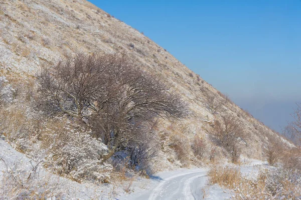 Montagne Inverno Dove Può Godere Idillio Invernale Pace Tranquillità Solo — Foto Stock