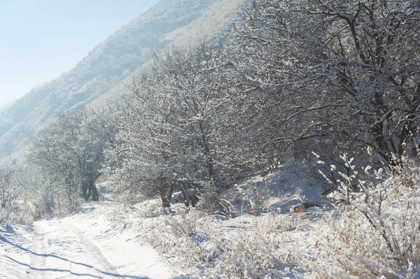 Bergen Vinter Lär Känna Det Vackra Landskapet Vintervandringar Från Bäckar — Stockfoto