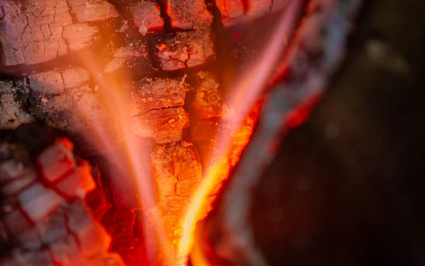 Fuego Chimenea Madera Envejecida Huele Maravilloso Así Que Vas Quemarla —  Fotos de Stock