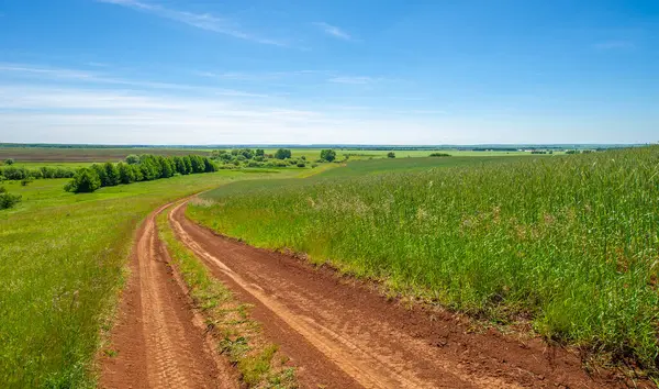 stock image summer landscape, dirt road from black soil, blue cloudless sky, green wheat, a walk along the European part of the earth