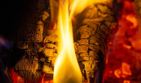 Fire Fireplace Aged Wood Smells Wonderful You Going Burn Choose — Stock Photo, Image
