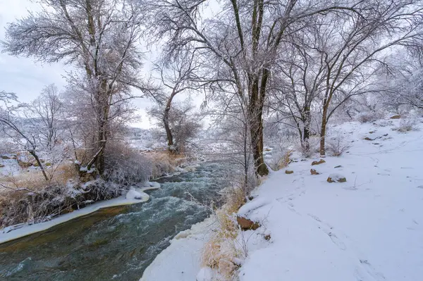 Зимой Река Замерзает Самый Простой Способ Испытать Замерзшие Реки Ходить — стоковое фото