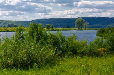 Yaz fotoğrafçılığı, su çayırları, nehir taşkın ovaları, dağdan çekilmiş fotoğraflar. Nehrin kenarında yemyeşil çimenler, çam, huş ağacı, fındık ağacı yetişir. sıcak yaz günleri