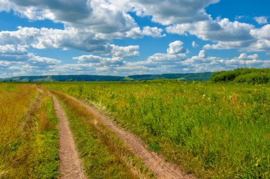 Yaz fotoğrafı. Sel ovaları ya da taşkın ovaları, nehir kıyısında mevsimsel sellere eğilimli bir çayır ya da çayır alanıdır..