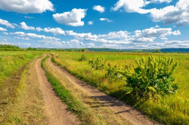 Yaz fotoğrafı. Sel ovaları ya da taşkın ovaları, nehir kıyısında mevsimsel sellere eğilimli bir çayır ya da çayır alanıdır..