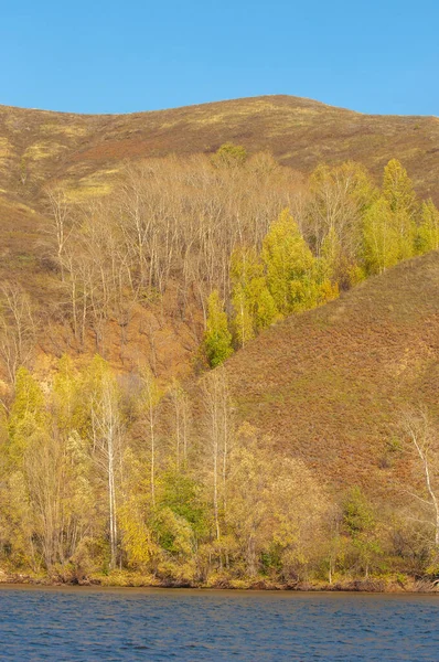 塔楼景观 金山秋景 美丽的秋景 明亮的天空 雄伟的岩石山 明亮的树木 阳光灿烂 — 图库照片