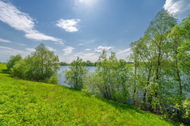 Bahar fotoğrafı, söğüt ağacı, parlak yeşillik, bulutlu mavi gökyüzü, harika bahar havası.