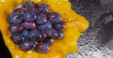 Prunus spinosa stüdyoda fotoğraflandı. Prunus spinosa, siyah kabuğu ve yoğun, sert, dikenli dallarıyla 5 metreye kadar büyüyen büyük bir yaprak döken çalıdır..