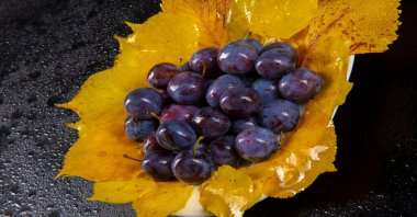 Prunus spinosa stüdyoda fotoğraflandı. Prunus spinosa, siyah kabuğu ve yoğun, sert, dikenli dallarıyla 5 metreye kadar büyüyen büyük bir yaprak döken çalıdır..