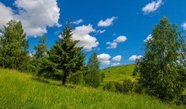Yaz, tepe, tepeler, huş ağaçları dağların yamaçlarında büyürler. Yamaç boyunca dönen toprak bir yol, sıcak yaz günleri.