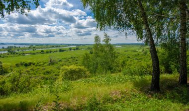 Yaz su çayırları, nehir taşkın ovaları, dağdan çekilmiş fotoğraflar. Nehrin kenarında yemyeşil çimenler, çam, huş ağacı, fındık ağacı yetişir. sıcak yaz günleri