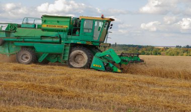 Buğday, çavdar, arpa, yulaf, mısır, keten ve soya gibi tahıl hasadında kullanılan bir makinedir. 2019 09 06 Tukaevsky Bölgesi Tataristan Rusya