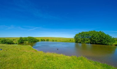 Yaz manzarası, bunaltıcı yaz günleri, ılık suyla dolu bir göl, ılık kuzey yarımkürede yaşayan fındık ağacı. Çalılar