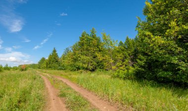 Yaz fotoğrafları, tepeler, tepeler, huş ağaçları dağların yamaçlarında yetişir. Yamaç boyunca dönen toprak bir yol, sıcak yaz günleri.