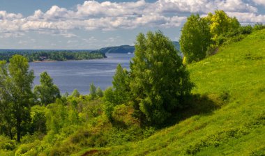Yaz fotoğrafçılığı, dağlar, çam ağaçları, huş ağaçları, meşeler, tepeler, beyaz bulutlu mavi gökyüzü, toprak yol, köknar ağaçları arasında sallanan rüzgarlar, parlak kırmızı çilekler olgunlaşmış.