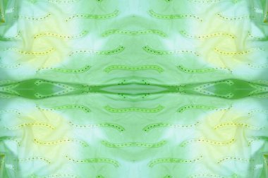 Kusursuz kaleydoskop. Kumaş ipek yeşil-mavi gözlükler. Canlı renkler ve deniz tarağı şekilleri, sarı, mavi ve yeşil geometrik ipek krep de chine renginde gerçekten eşsiz bir krep oluşturur..