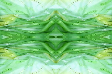 Kusursuz kaleydoskop. Kumaş ipek yeşil-mavi gözlükler. Canlı renkler ve deniz tarağı şekilleri, sarı, mavi ve yeşil geometrik ipek krep de chine renginde gerçekten eşsiz bir krep oluşturur..