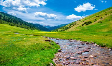 Dağlarda yaz. Dağlık arazide bir nehir. Yaz manzarası. Binlerce yorgun, sinirli, aşırı medeni insan, dağlara gitmenin eve gitmek demek olduğunu anlamaya başlıyor..