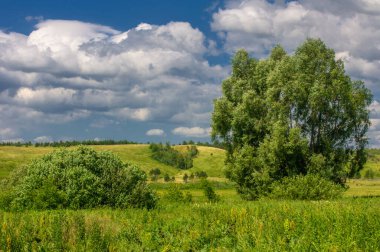 Yaz manzarası, nehir taşkınları, pitoresk kıyılar, kır çiçekli parlak yeşil çimenler, beyaz bulutlu mavi gökyüzü, ılık yaz günleri.,