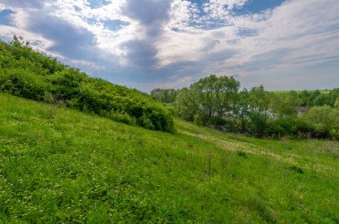 Bahar fotoğrafı, söğüt ağacı, parlak yeşillik, bulutlu mavi gökyüzü, harika bahar havası.