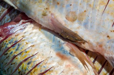 Balık yemek için hazır. Bunlar, hem denizde hem de tatlı suda yaşayan soğuk kanlı omurgalılar. Birçok yenilebilir balık türü mükemmel besin kaynaklarıdır..