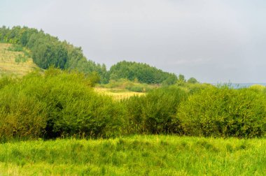 Yaz fotoğrafı. Nehir kıyısı, nehir ya da göl boyunca ya da aşağısı.