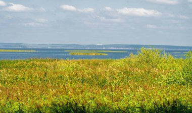 Yaz manzarası. Dünyanın Avrupa bölgesindeki bir nehir. Güneşli sıcak bir gün. Yeşil ağaçlar, çimenler. Mavi gökyüzü küçük bir bulut örtüsüyle.