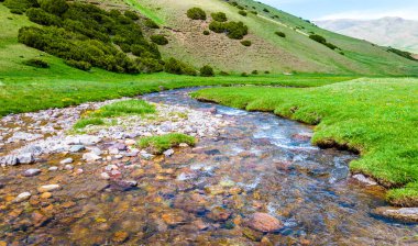 Dağlarda yaz. Dağlık arazide bir nehir. Yaz manzarası. Binlerce yorgun, sinirli, aşırı medeni insan, dağlara gitmenin eve gitmek demek olduğunu anlamaya başlıyor..