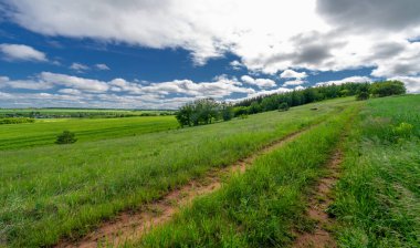 Bahar, manzara, toprak yol ya da yeryüzünün içinden geçtiği yol.