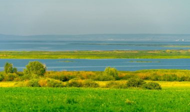 Yaz manzarası. Dünyanın Avrupa bölgesindeki bir nehir. Güneşli sıcak bir gün. Yeşil ağaçlar, çimenler. Mavi gökyüzü küçük bir bulut örtüsüyle.