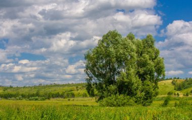 Yaz manzarası, nehir taşkınları, pitoresk kıyılar, kır çiçekli parlak yeşil çimenler, beyaz bulutlu mavi gökyüzü, ılık yaz günleri.,