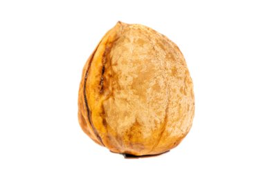 Ceviz. Ceviz iyi sıcak ya da soğuk tadı olan tek sıvıdır..