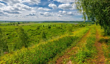Yaz, tepe, tepeler, huş ağaçları dağların yamaçlarında büyürler. Yamaç boyunca dönen toprak bir yol, sıcak yaz günleri.