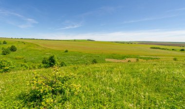 Yaz, çayır tarlaları, vadiler, çam ağaçları fındık ağacı, kır çiçekleri, dünyanın Avrupa bölgesi.